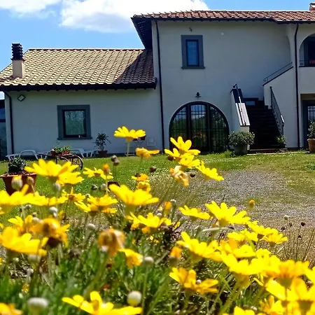 Farm stay Pian Del Grano Azienda Agricola *
