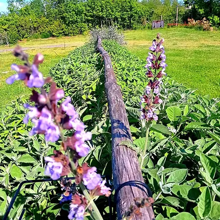 Farm stay Pian Del Grano Azienda Agricola